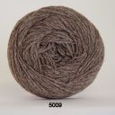 5009 Brun