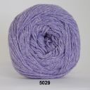 5029 Lys lilla