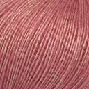 16 Gylden Rosa