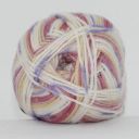 0030 Rosa multi