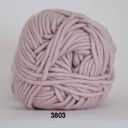 Rose 3803