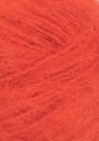 3819 Spicy orange