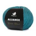 25 Petroleumsbl&aring;