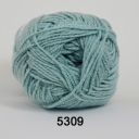5309 Mint