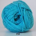 Tyrkis 731