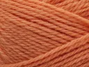 254 Coral